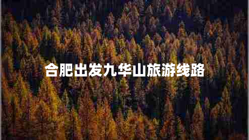 合肥出發(fā)九華山旅游線路 合肥出發(fā)九華山旅游線路