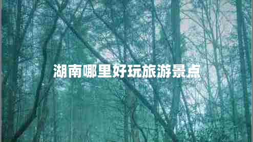 湖南哪里好玩旅游景點