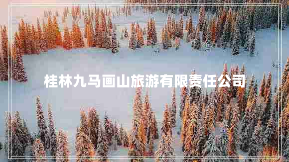 桂林九馬畫山旅游有限責(zé)任公司