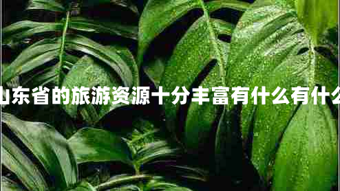 山東省的旅游資源十分豐富有什么有什么