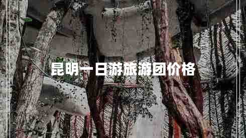 昆明一日游旅游團價格