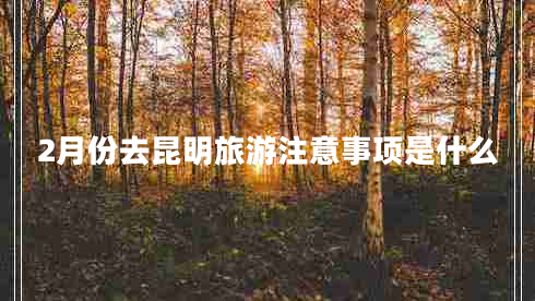 2月份去昆明旅游注意事項(xiàng)是什么