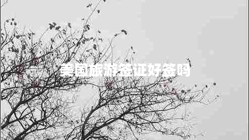 美國旅游簽證好簽嗎