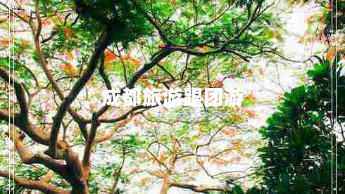 成都旅游跟團(tuán)游