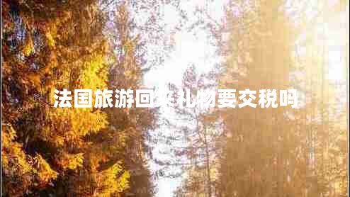 法國旅游回來禮物要交稅嗎