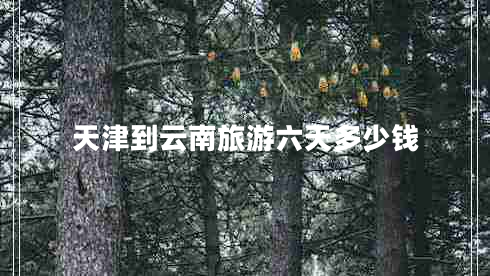 天津到云南旅游六天多少錢