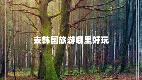 去韓國旅游哪里好玩