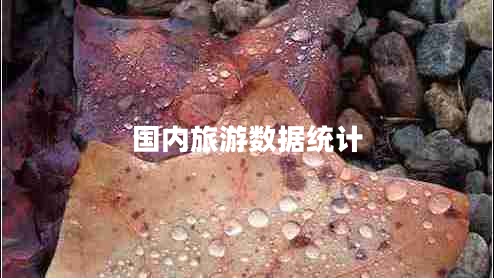 國內(nèi)旅游數(shù)據(jù)統(tǒng)計(jì)