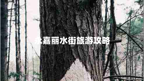 永嘉麗水街旅游攻略 永嘉麗水街旅游攻略