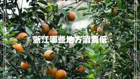 浙江哪些地方消費(fèi)低
