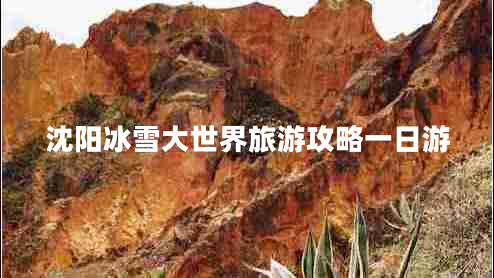 沈陽冰雪大世界旅游攻略一日游