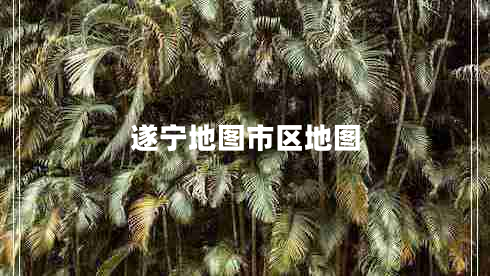 遂寧地圖市區(qū)地圖 遂寧地圖市區(qū)地圖