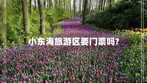 小東海旅游區(qū)要門票嗎?