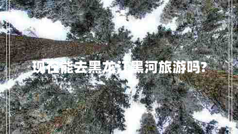 現(xiàn)在能去黑龍江黑河旅游嗎? 現(xiàn)在能去黑龍江黑河旅游嗎?