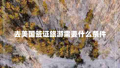 去美國簽證旅游需要什么條件