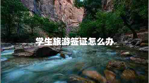 學生旅游簽證怎么辦