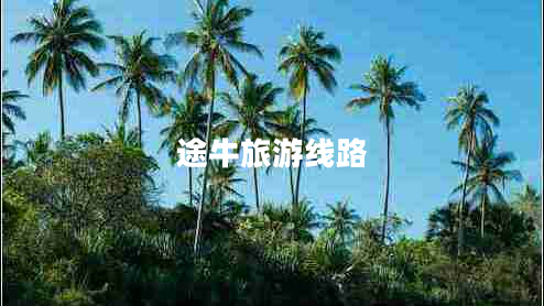 途牛旅游線路