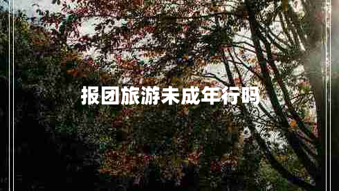 報(bào)團(tuán)旅游未成年行嗎