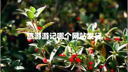 旅游游記哪個(gè)網(wǎng)站發(fā)行
