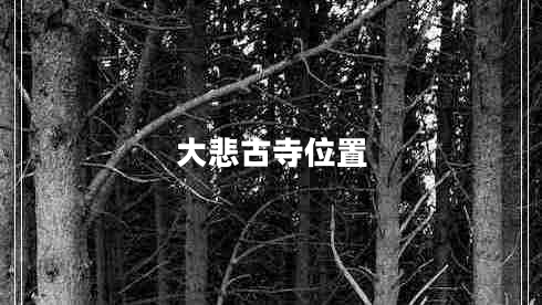 大悲古寺位置 大悲古寺位置