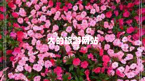大的旅游網(wǎng)站 大的旅游網(wǎng)站