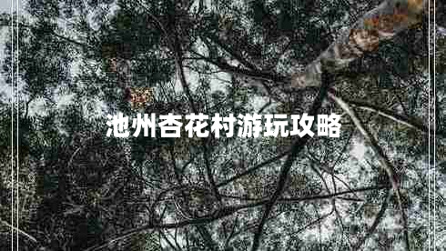 池州杏花村游玩攻略