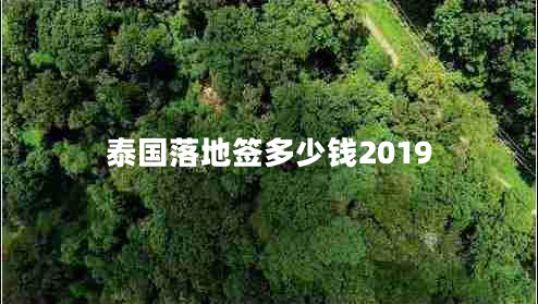 泰國落地簽多少錢2019