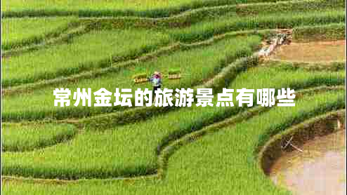 常州金壇的旅游景點(diǎn)有哪些