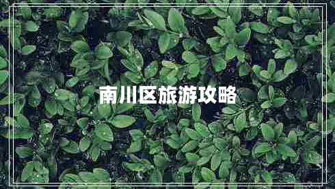 南川區(qū)旅游攻略