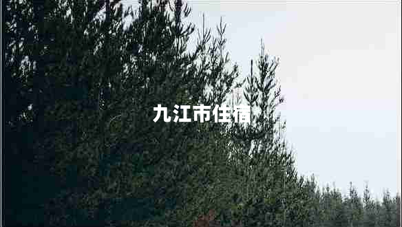 九江市住宿 九江市住宿