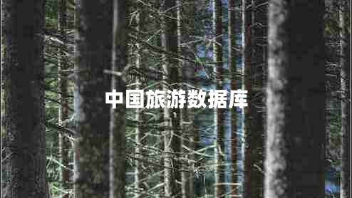 中國旅游數(shù)據(jù)庫