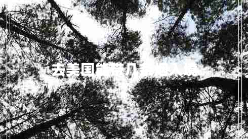 去美國能帶幾條煙入境