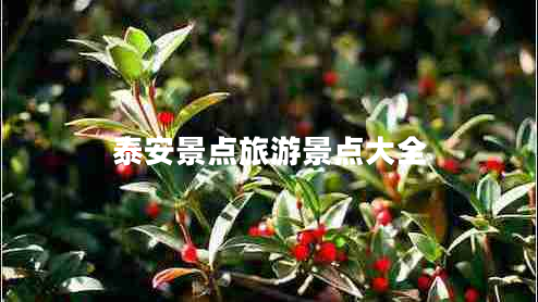 泰安景點(diǎn)旅游景點(diǎn)大全 泰安景點(diǎn)旅游景點(diǎn)大全