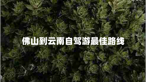 佛山到云南自駕游最佳路線