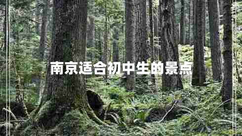 南京適合初中生的景點