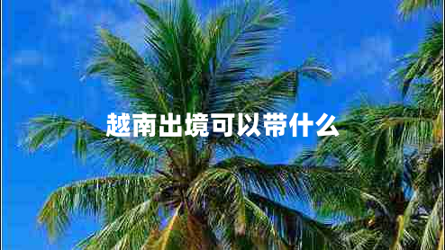 越南出境可以帶什么 越南出境可以帶什么