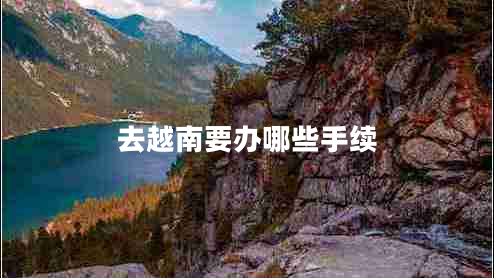 去越南要辦哪些手續(xù)