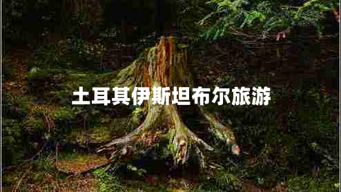 土耳其伊斯坦布爾旅游