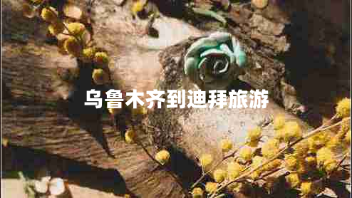 烏魯木齊到迪拜旅游