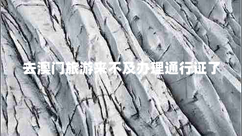 去澳門旅游來不及辦理通行證了