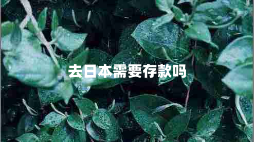 去日本需要存款嗎 去日本需要存款嗎