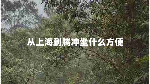 從上海到騰沖坐什么方便 從上海到騰沖坐什么方便