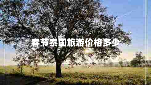 春節(jié)泰國旅游價(jià)格多少 春節(jié)泰國旅游價(jià)格多少