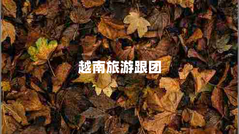 越南旅游跟團(tuán) 越南旅游跟團(tuán)