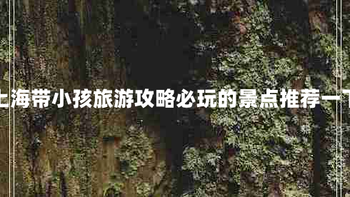 上海帶小孩旅游攻略必玩的景點(diǎn)推薦一下