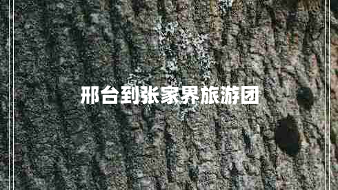 邢臺到張家界旅游團