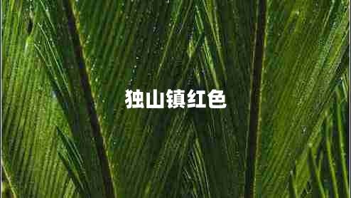 獨(dú)山鎮(zhèn)紅色 獨(dú)山鎮(zhèn)紅色