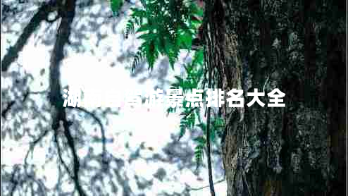 湖南自駕游景點排名大全 湖南自駕游景點排名大全