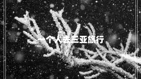 一個(gè)人去三亞旅行
