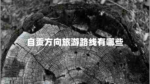 自貢方向旅游路線有哪些